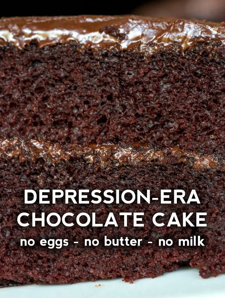 Close-up of a slice of Depression-era chocolate cake with a rich, moist texture and glossy chocolate frosting, showcasing its egg-free, butter-free, and milk-free composition.