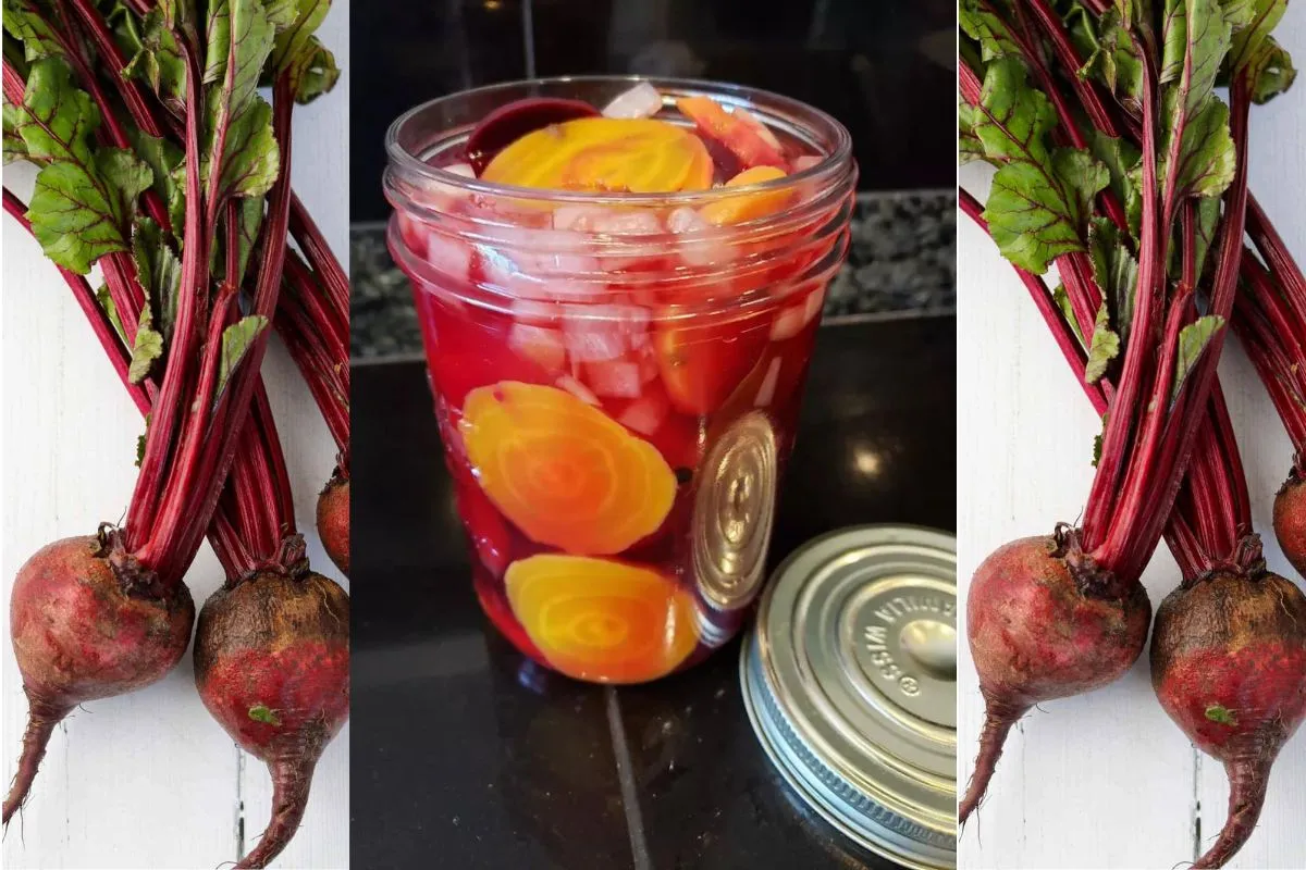 Jar of spiced pickled beets surrounded by fresh beets with greens