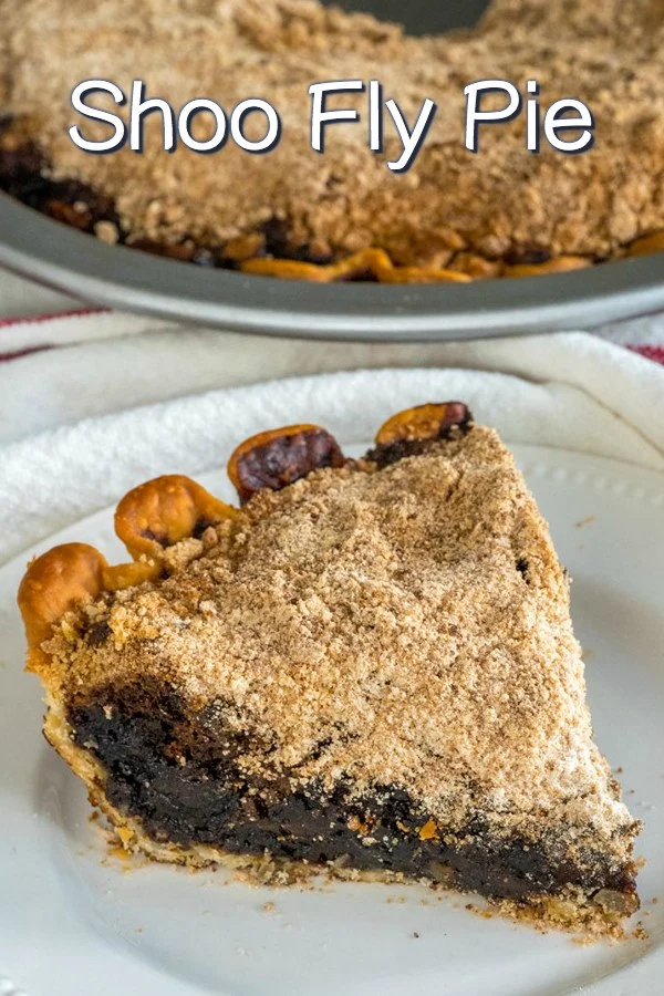 Slice of Shoo Fly Pie with dark molasses filling and crumb topping on a white plate, with full pie in background